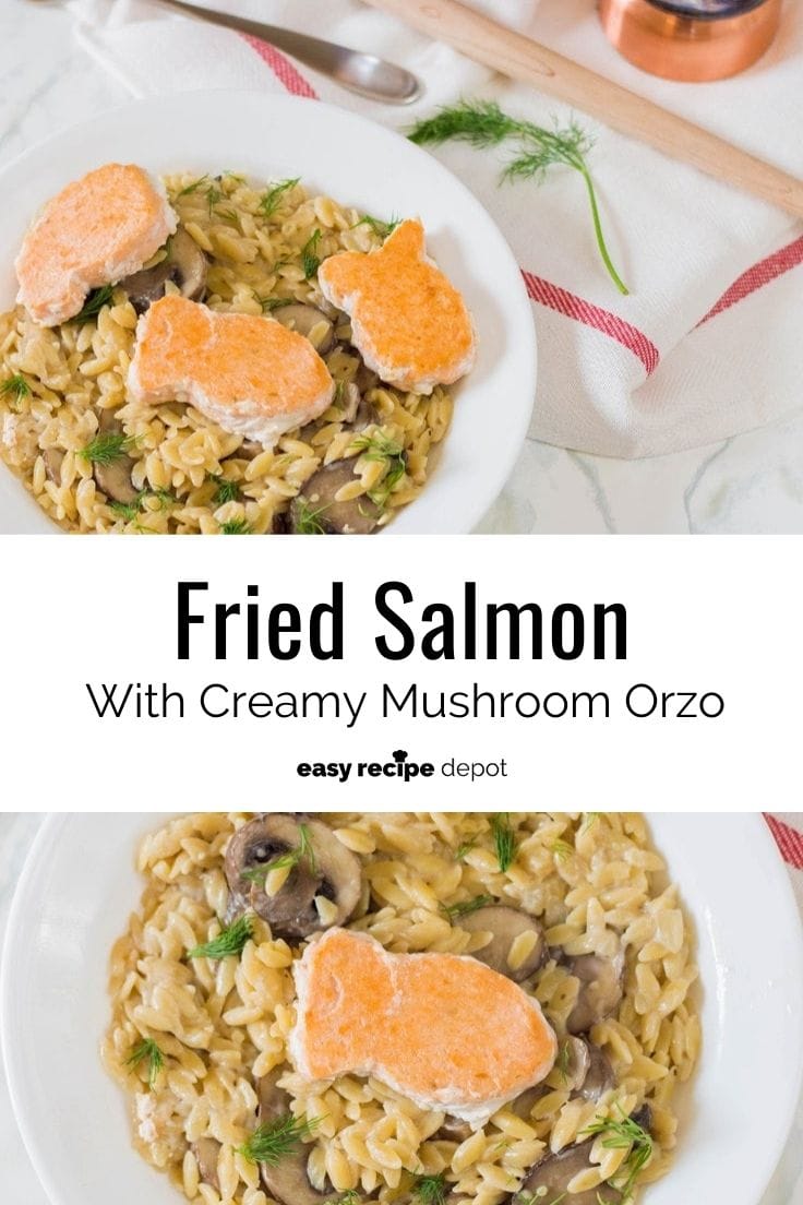 Fried salmon with creamy mushroom orzo.