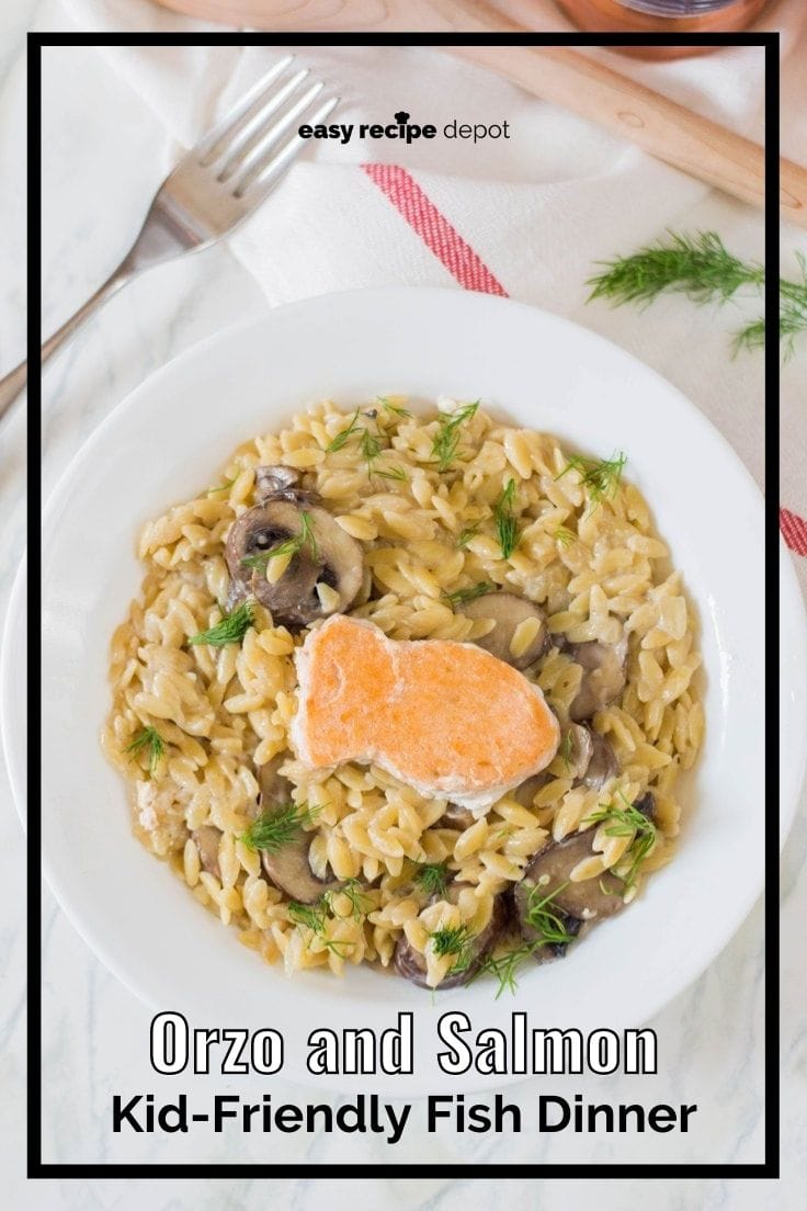 Orzo and salmon kid-friendly fish dinner.