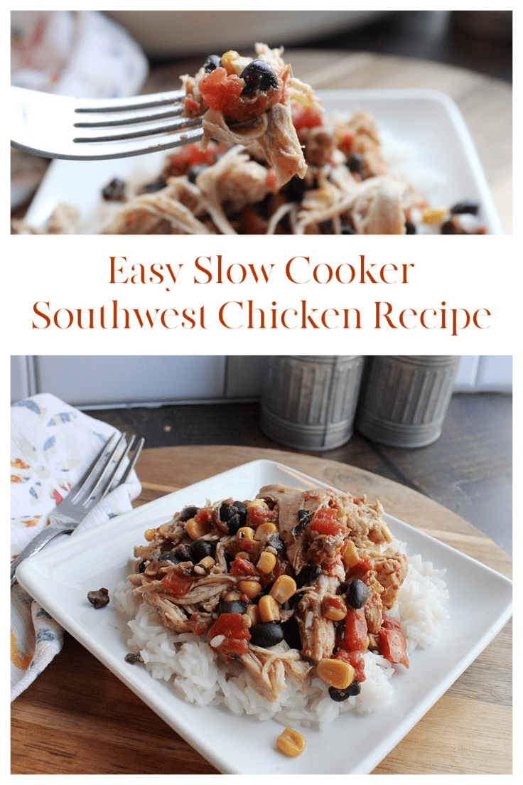 Plate of slow cooker southwest chicken and rice.