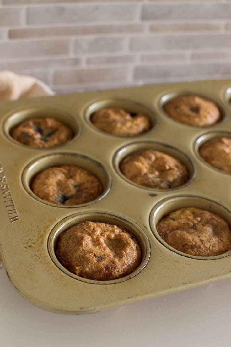 Muffins in a muffin tin, fresh out of the oven.